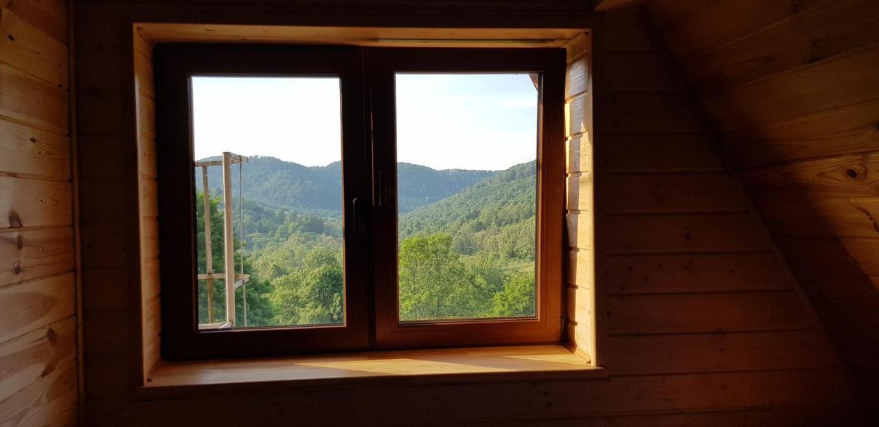 Bacowka Pttk Jaworzec Pansiyon Wetlina Dış mekan fotoğraf